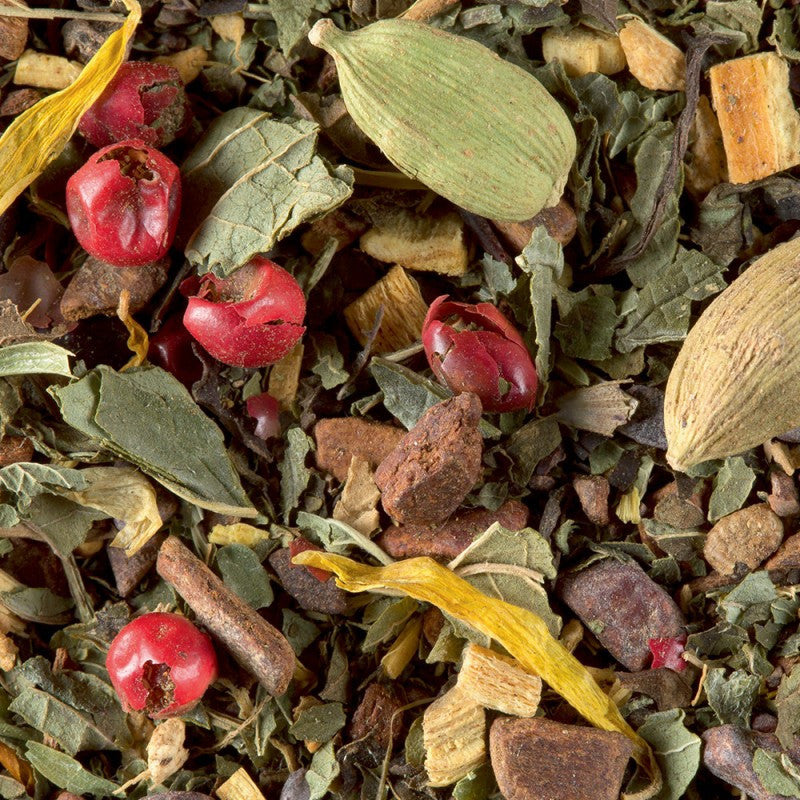 Tisane de Noël Dammann Frères 250 Sachets Cristal®