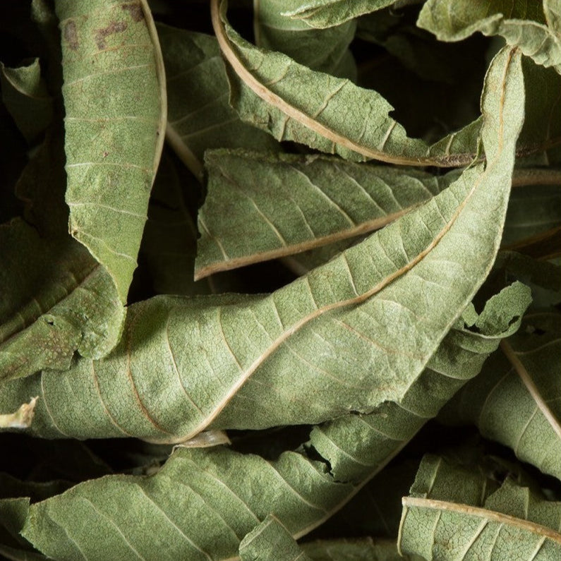 Tisane verveine Dammann Frères 250 sachets Cristal®